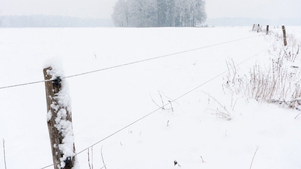 winterizing-your-electric-fence.jpg